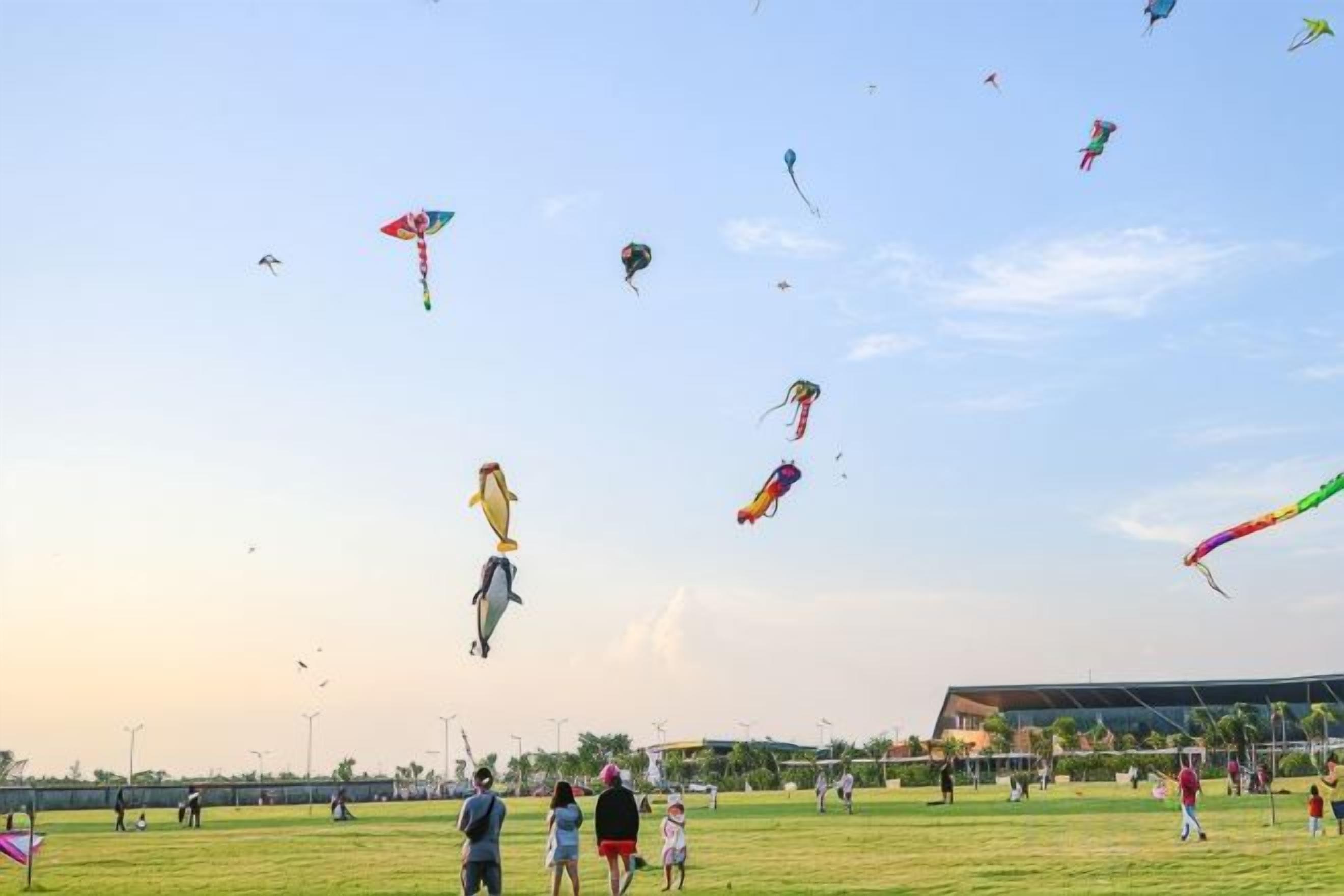 A grassy field with multiple kites flying in the sky.