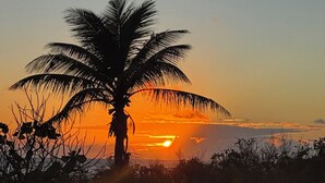 Een silhouet van een palmboom voor een ondergaande zon.