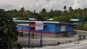 Een blauw gebouw met een Coca-Cola bord, omringd door palmbomen en een bewolkte lucht.