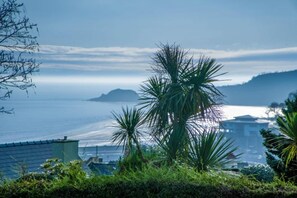 Une vue sur la côte, avec des palmiers, un bâtiment et une plage.