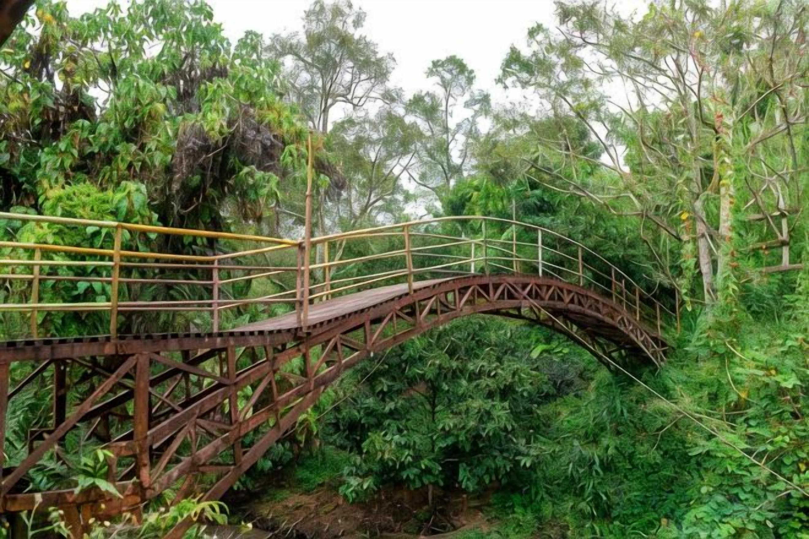 Un puente metálico con barandillas en una zona boscosa.