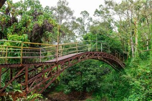 Interior - Peaceful Getaway @ Betong He Ping Village (Betong)