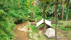 Un área con carpas junto a un río, rodeada de abundante vegetación.