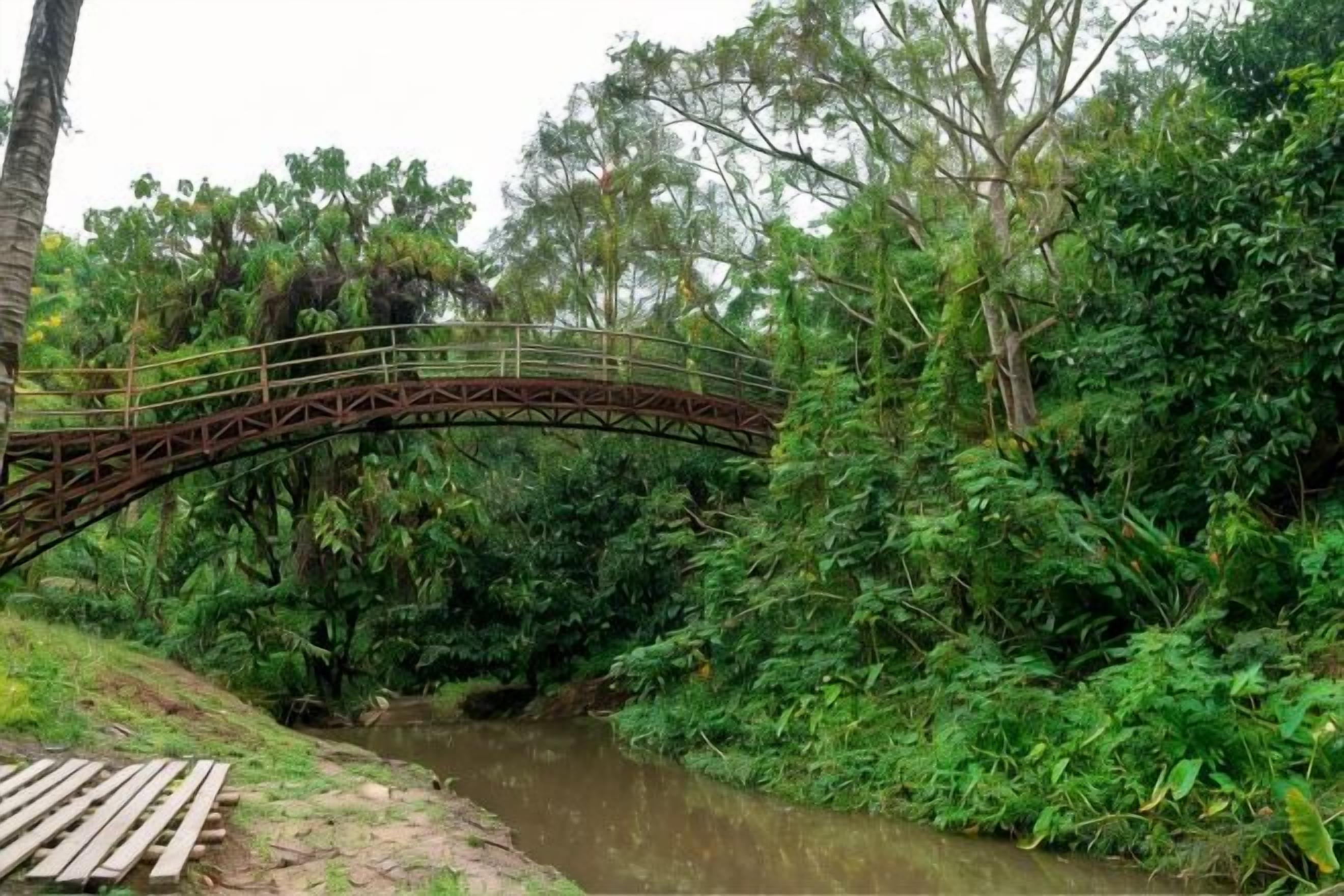 A metal bridge over a river in a forested area.