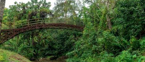 A metal bridge over a river in a forested area.