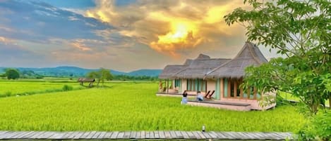 A traditional thatched-roof house with a wooden porch, surrounded by lush green fields, under a partly cloudy sky.