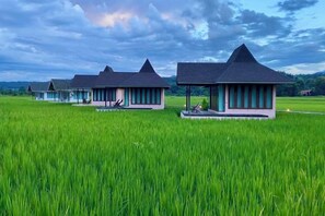 Una hilera de edificios de estilo tradicional con techos planos, ubicados en un campo verde exuberante.