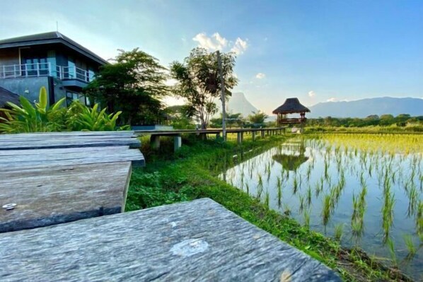 Overnattingsstedets uteområder