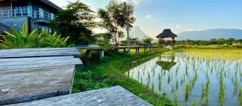 Baan Porhdoi Goidao
