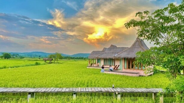 A traditional thatched-roof house in a lush green field with a wooden fence in the foreground. - Baan Porhdoi Goidao (Chiang Dao)