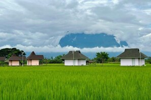 A rural landscape with a field of green crops and several small white buildings with dark roofs. - Baan Porhdoi Goidao (Chiang Dao)