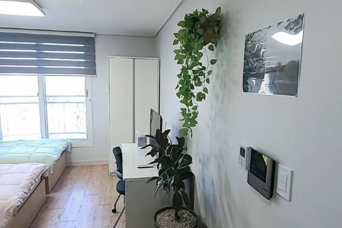Un dormitorio con una cama, un escritorio, una silla, una planta en maceta, un ventanal y un termostato fijado a la pared.