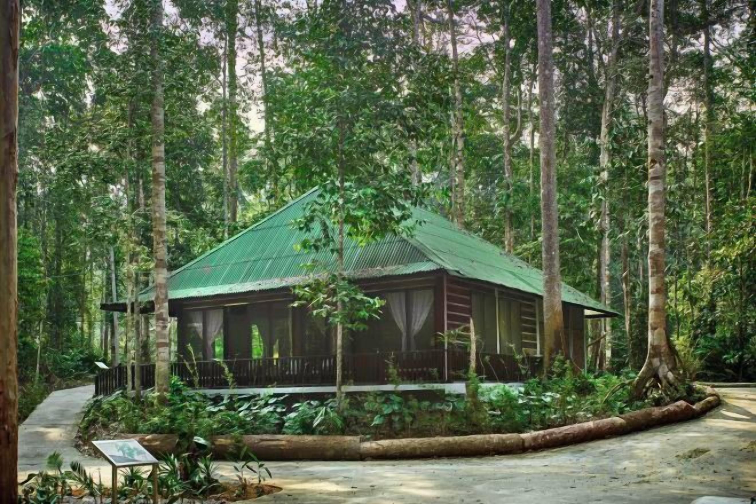 A wooden cabin with a green roof, surrounded by dense forest.