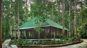 A wooden cabin with a green roof, surrounded by dense forest.