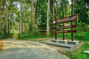 A directional signpost at a forested entrance with labels for 'Rainforest Lodge,' 'Reception,' and 'Rainforest Cafe.' - Rompin Rainforest Lodge (Rompin)