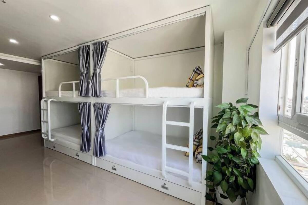 Dormitorio con literas, una ventana, una planta en maceta y una cortina.