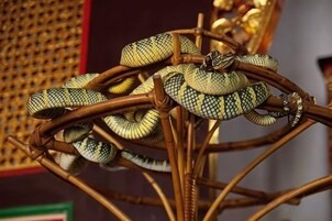 Primer plano de una serpiente enrollada alrededor de una estructura de madera.