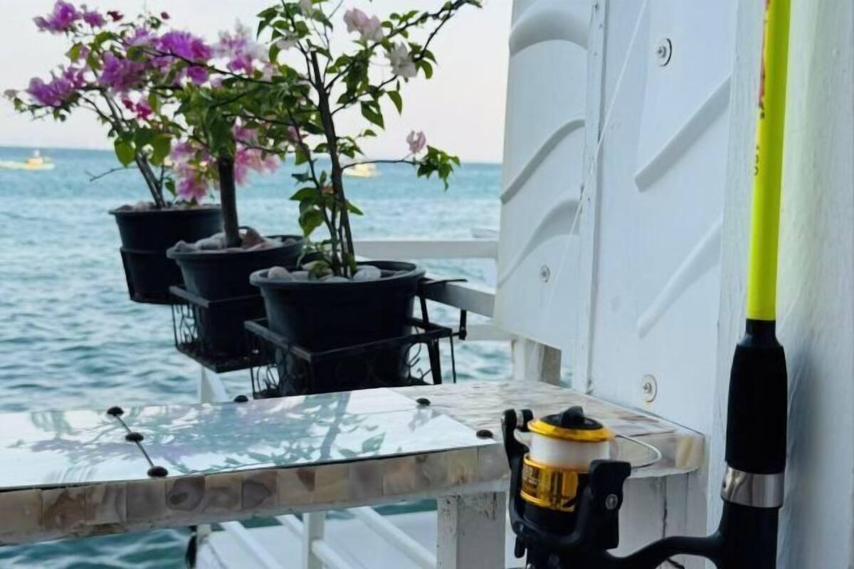 Un pont de bateau agrémenté de plantes en pot, d’une canne à pêche et offrant une vue sur la mer.