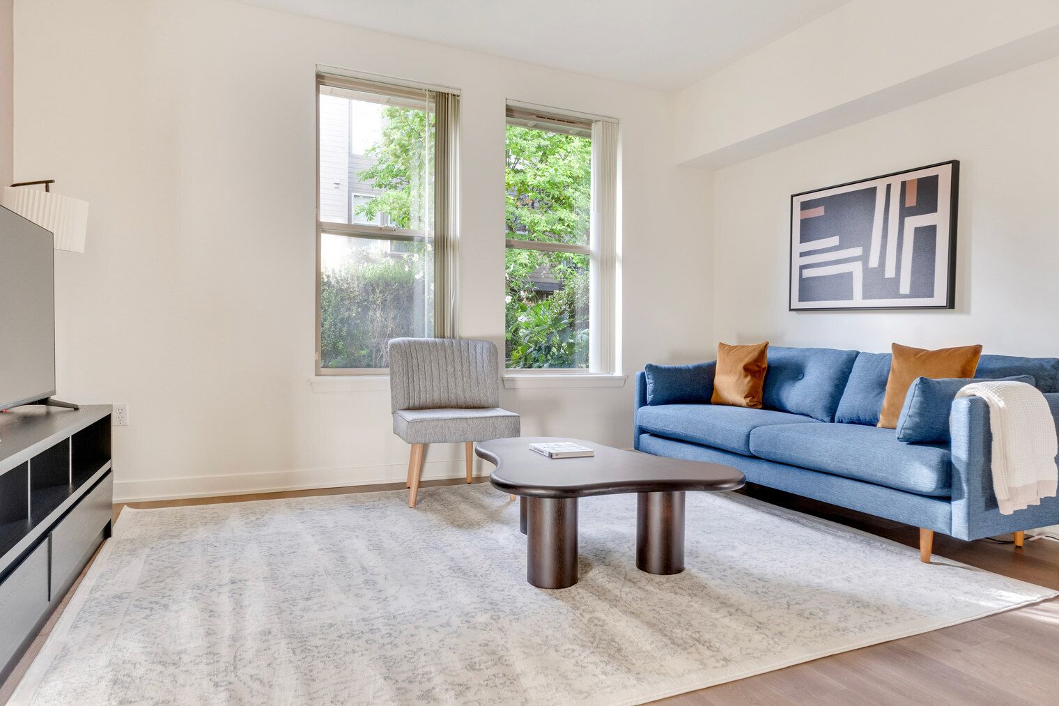 Fernseher, Stereoanlage