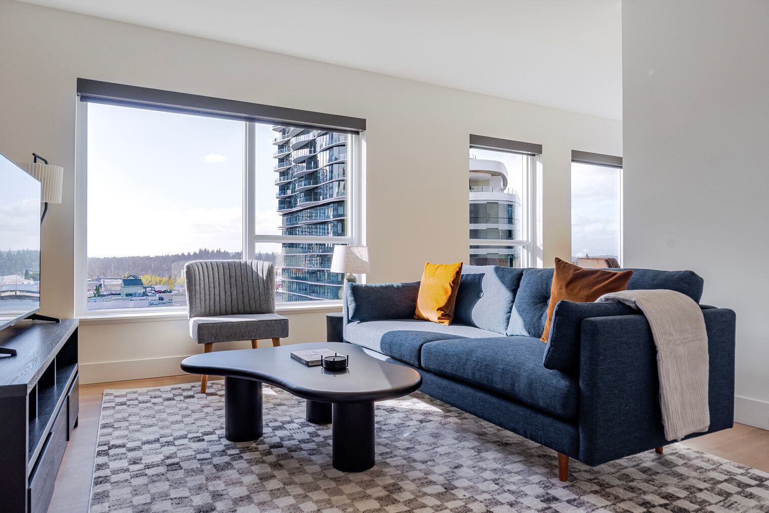 Télévision, chaîne hi-fi