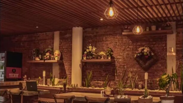A cozy cafe with exposed brick walls, wooden ceiling beams, and hanging pendant lights. Tables and chairs are arranged for seating, and potted plants add greenery. - The best view of the river & apartament's garden (Orizaba)