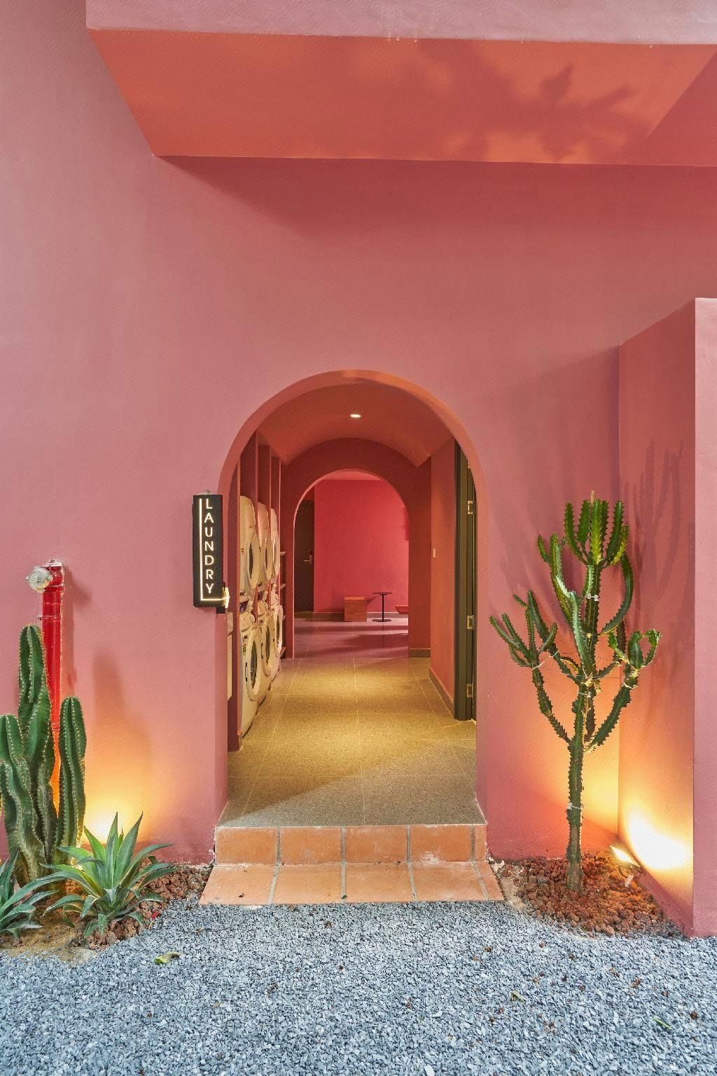 A hallway with a pink wall, a sign reading 'LAUNDRY', and a cactus plant.