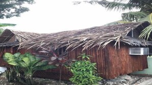 A rustic wooden hut with a thatched roof, surrounded by tropical plants. - Avila's Hostel Moalboal (Moalboal)