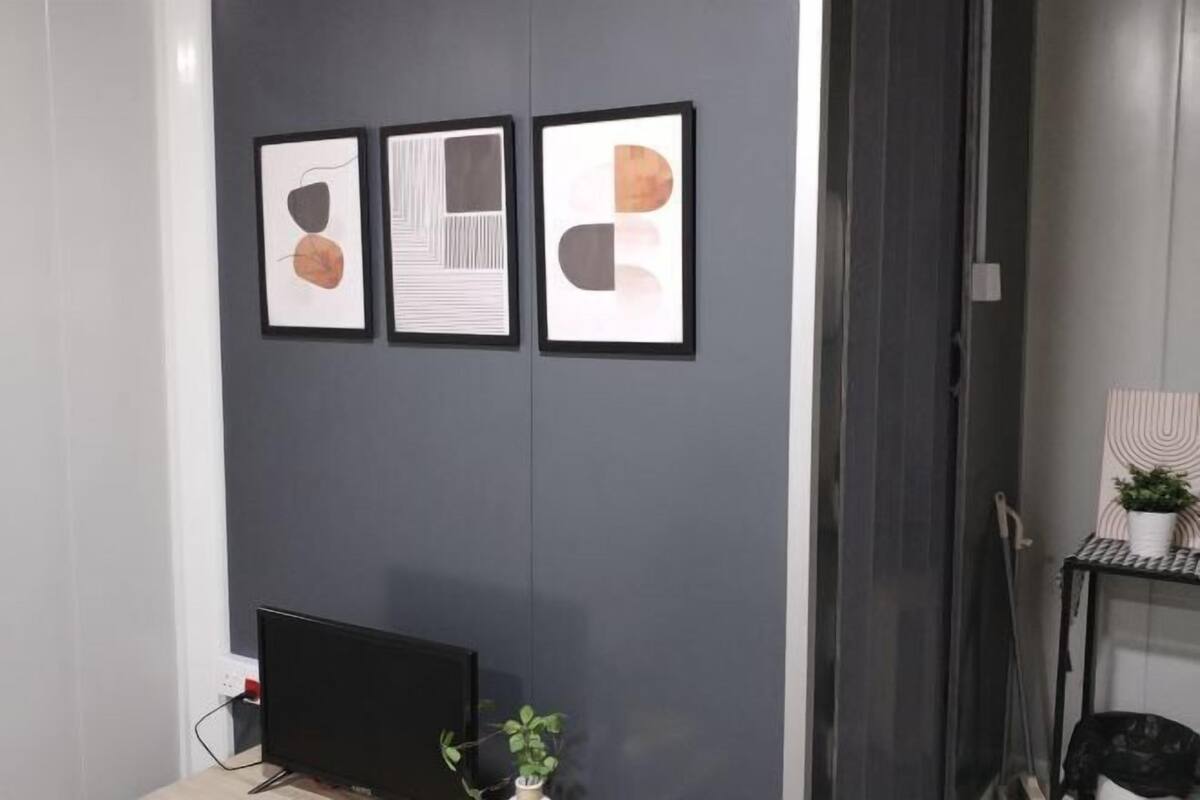 A room with a dark wall, a flat-screen TV, a potted plant, and three framed artworks.
