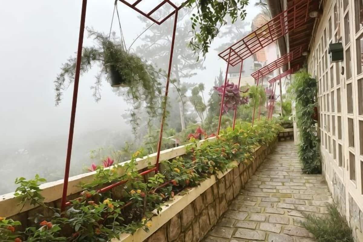 Un chemin de pierre menant à un bâtiment doté d’un jardin.