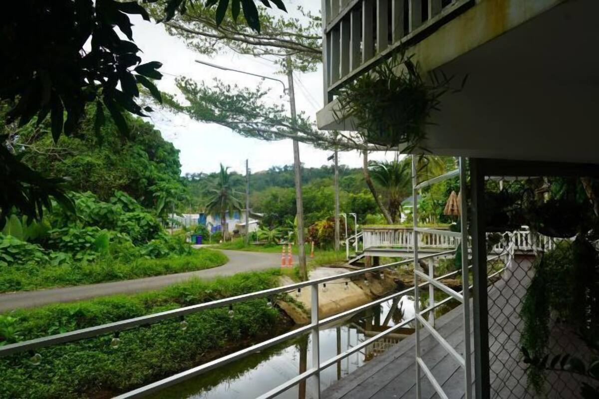 A view of a lush green landscape with a pathway, a small bridge, and a water channel.
