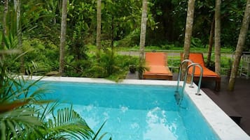 A swimming pool surrounded by lush greenery and a few lounge chairs.