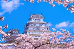 Vistas desde el alojamiento