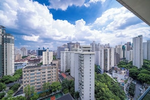 Superior Apartment, 2 Bedrooms, Kitchen, City View | View from room