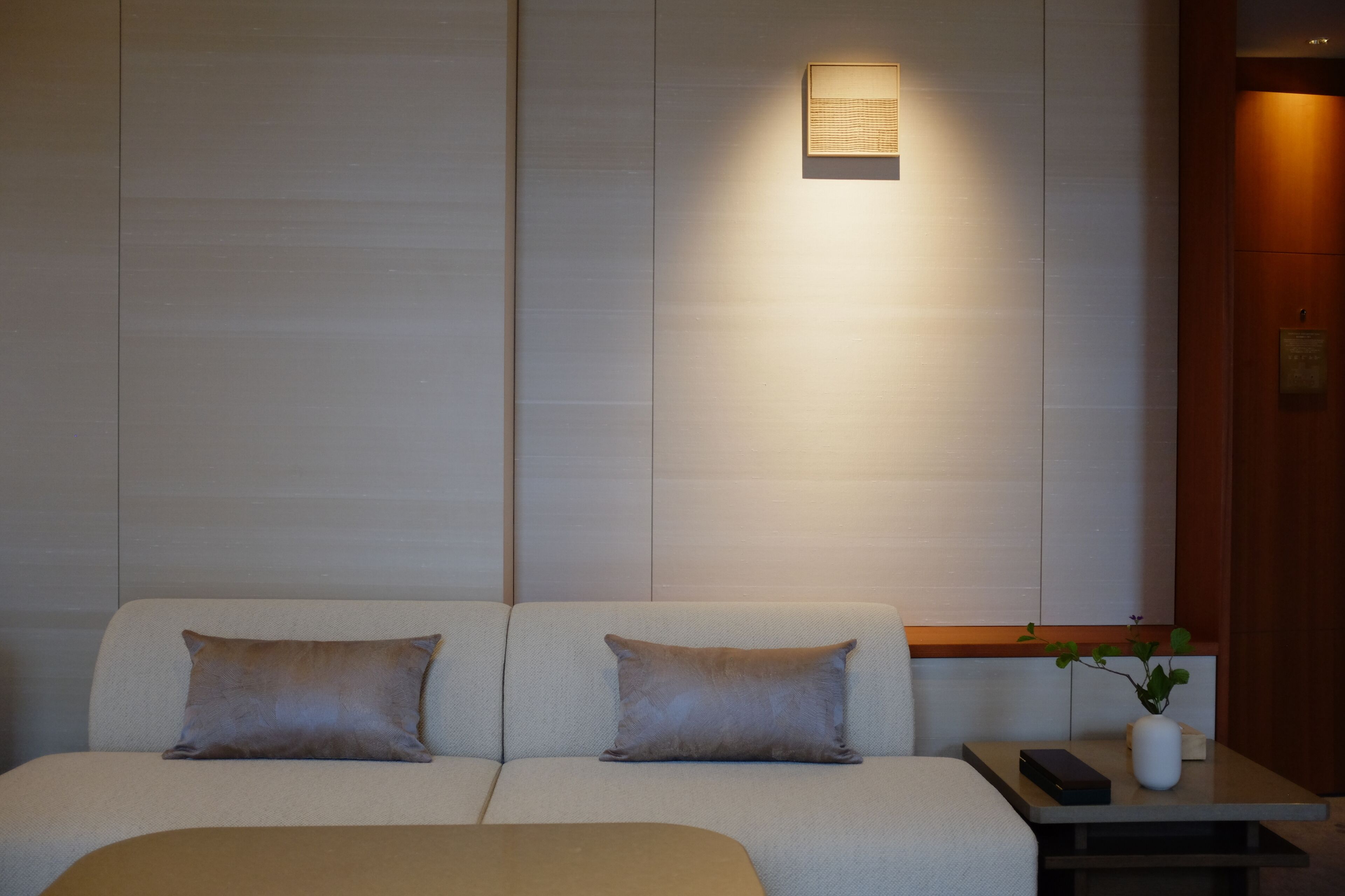 Una habitación de hotel moderna con un sofá, dos almohadas, una mesita de noche con un jarrón y una planta, y una lámpara fijada a la pared.