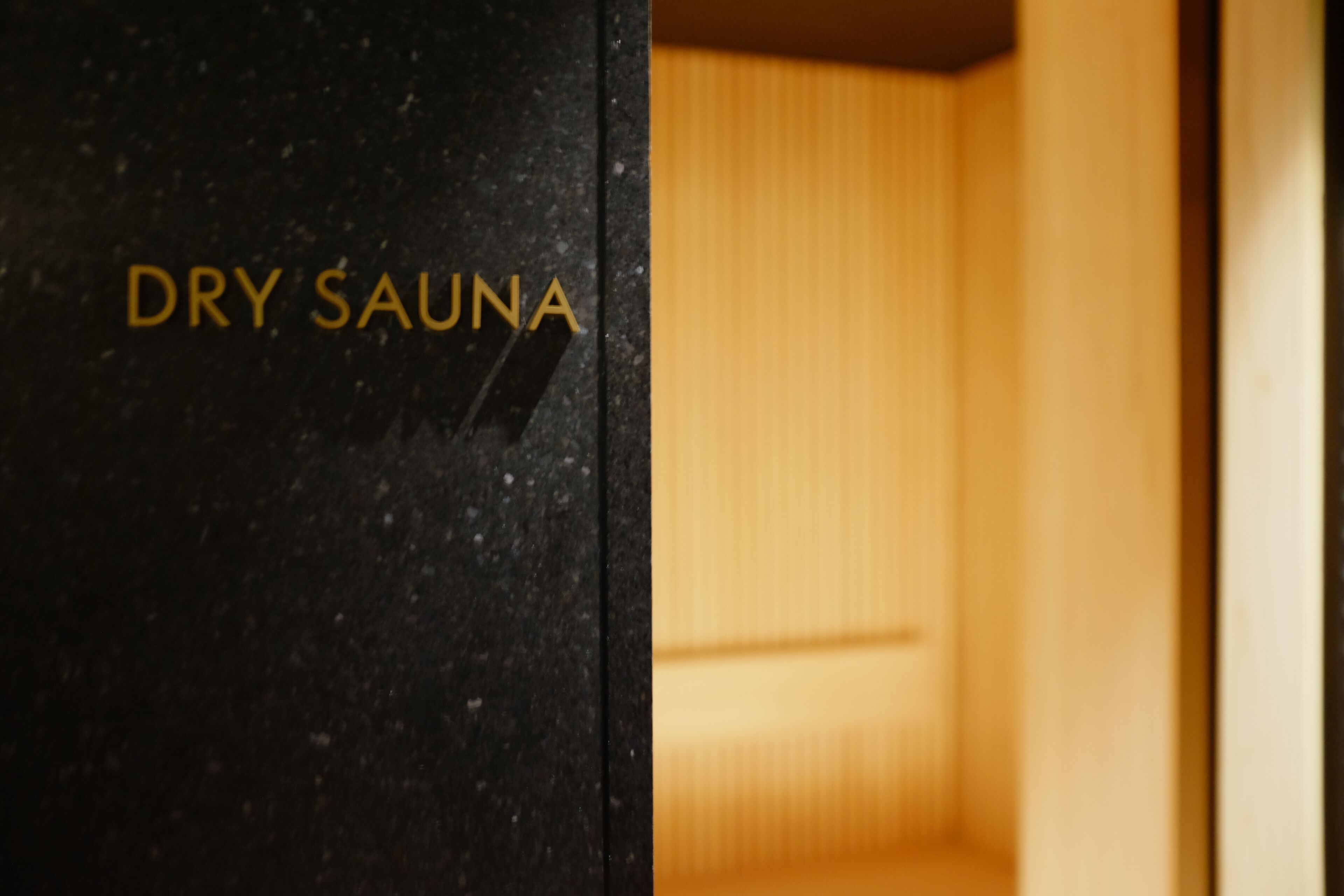 Parede preta com a inscrição 'DRY SAUNA' em letras douradas.