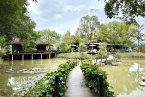 A wooden pathway leading to a pond with lily pads, surrounded by lush greenery and wooden structures. - Panor Coffee House & Restaurants (Mae Chan)