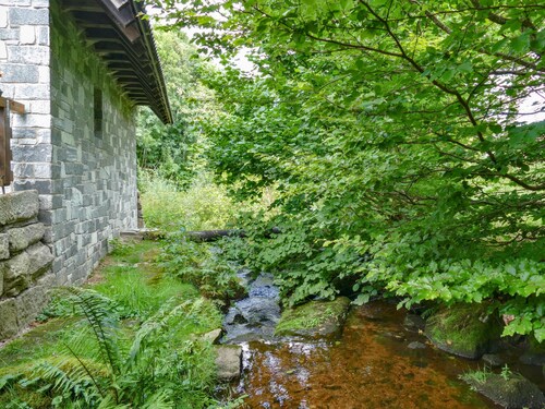 Holiday in historic mill in the Black Forest