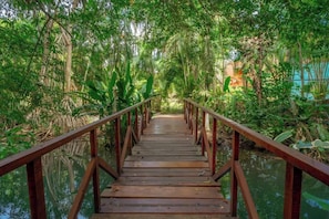 A wooden bridge with railings leading through a lush, green forested area. - Tropical Beachfront Oasis (Jaco)