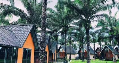 Nature Resort