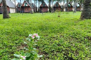 Egy sor, egymás mellett álló, bungaló-stílusú szálláshely, előttük pedig egy füves pázsit terül el.