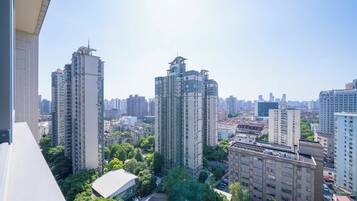 Superior Apartment, 2 Bedrooms, Kitchen, City View | View from room