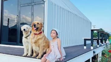 A person sitting on a porch with two dogs.