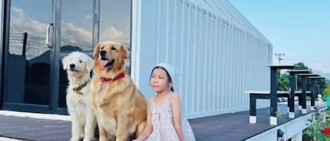 A person sitting on a porch with two dogs.