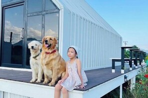 Uma pessoa sentada em um alpendre com dois cães.