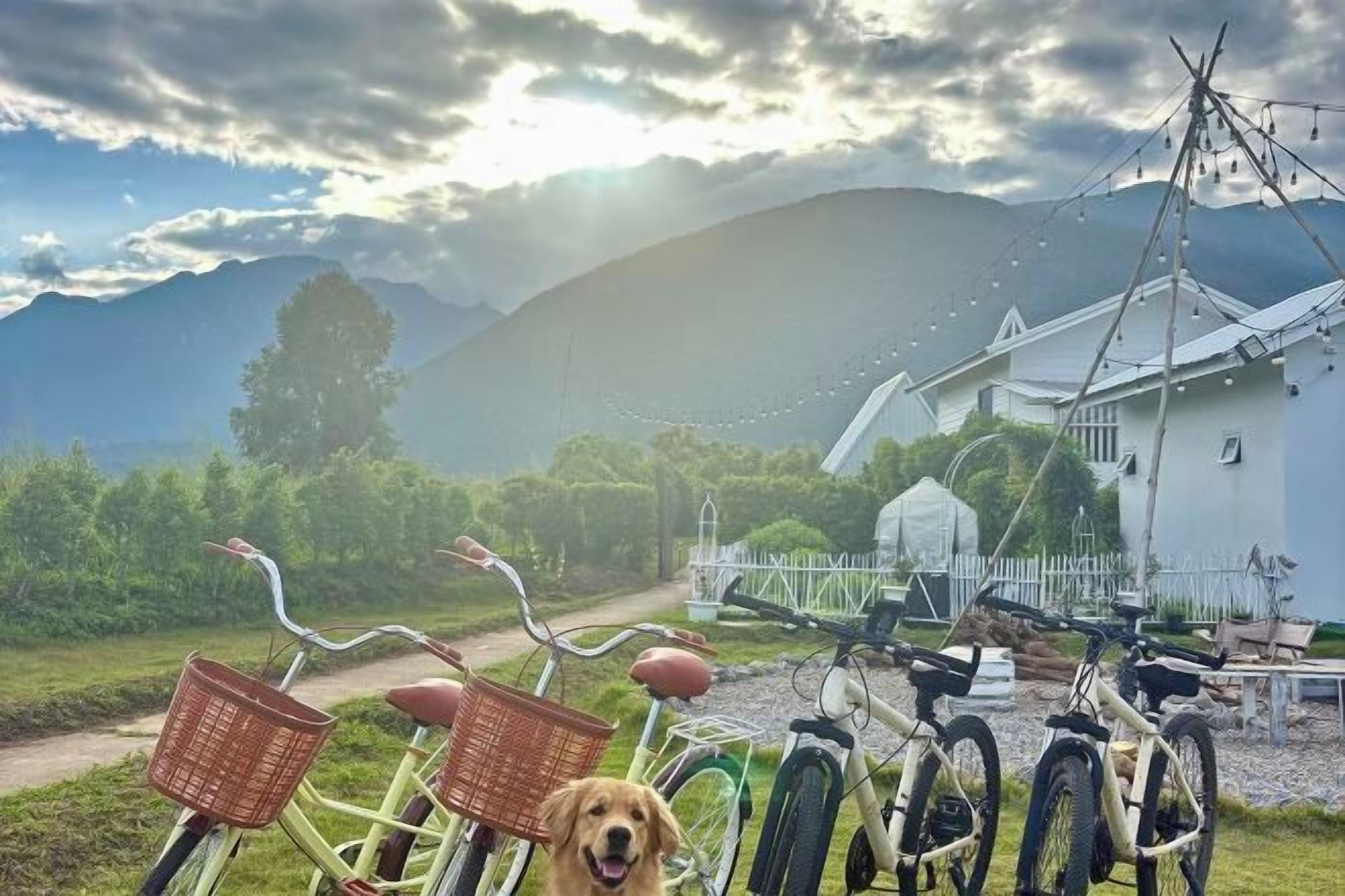 Bicycles parked in front of a building with a view of mountains.