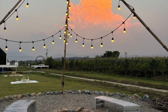 Un'ambientazione rustica all'aperto con luci a catena, una panchina in legno e un vialetto in pietra.