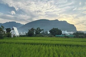 Unclassified image, 5 of 53, button - Paradise Resort & Cafe (Chiang Dao)
