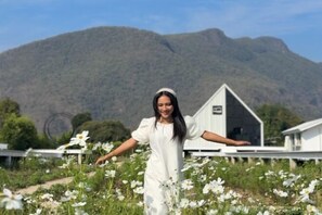 Miscellaneous - Paradise Resort & Cafe (Chiang Dao)