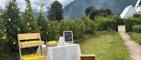 A table with lemons and a chalkboard sign in a garden setting with a mountain backdrop.