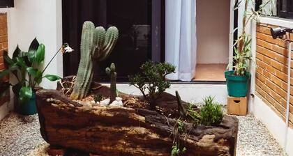 Beatiful aparmentin the magical of Orizaba 5